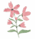 logo paisagista Ribeirão Preto